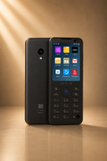 Qin F30 Kosher Phone